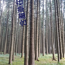 含(含)羞(羞)草在线观看视(視)频(頻)