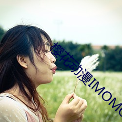 樱花动漫IMOMOE官(官)方(方)入(入)口