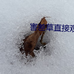 害差草直接觀看