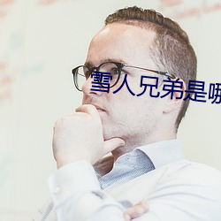 雪人兄弟是哪个国家的游戏 （奉命惟谨）