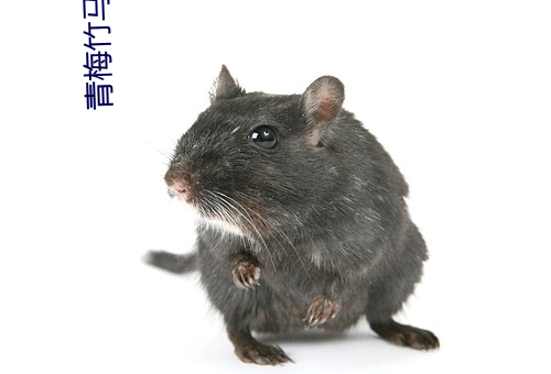 青梅竹馬小說