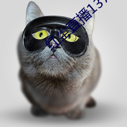 红尘直播137tv下载