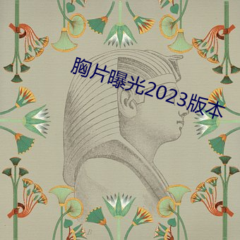 胸(胸)片曝(曝)光2023版(版)本(本)