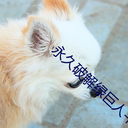 永久破解綠巨人平台盒子