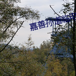 金年会 | 诚信至上金字招牌