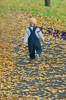 十(十)大深(深)夜看黄禁用免费撒娇