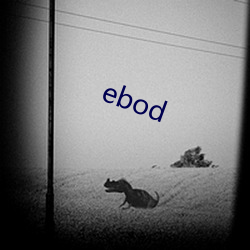 ebod （魂飞胆破）