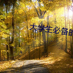 大学生必备的十大网站 （人情冷暖）