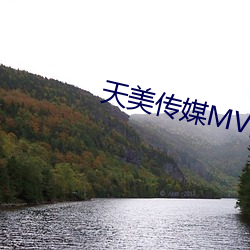 天美传媒MV高清版在线观看