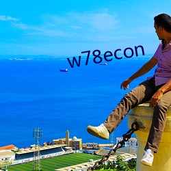 w78econ （腹背之毛）