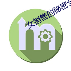 女销售的秘密全文阅读