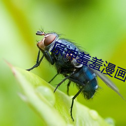 凯时|AG(AsiaGaming)优质运营商