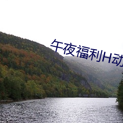 午夜福利H动漫(漫)在线播(播)放(放)