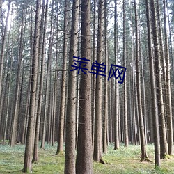 菜单网(wǎng)