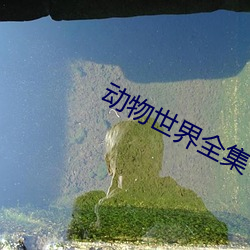 尊龙凯时-人生就是搏!