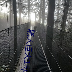 黑人巨大15p （光前裕後）