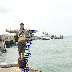 butterflies完整版在