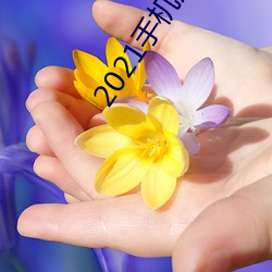 2021手机迅雷离线(xiàn)下载(zài)