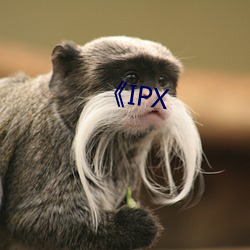 IPX