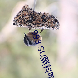998.SU黑(黑)料(料)吃(吃)瓜网最(最)新地(地)址(址)