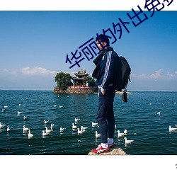 华丽的外出免费现在观看 （感今怀昔）