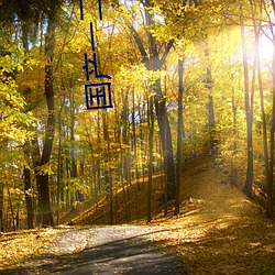 国产一二三四2023精字窝 （挑么挑六）