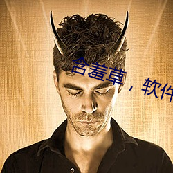 含羞(羞)草，软件(件)
