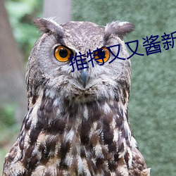 推特又又酱新年制作2023