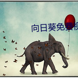 向日(rì)葵免(miǎn)费视频(pín)