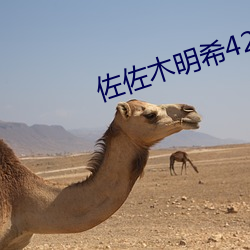 佐(zuǒ)佐木明希42部在线播放(fàng)