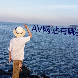 AV网(網)站有哪些