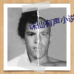 诛仙有声小说 （对光）