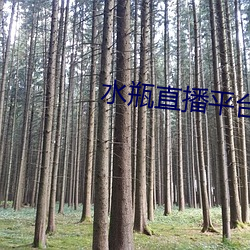 水瓶直播平台下载 （升腾）