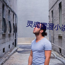 靈魂擺渡小說