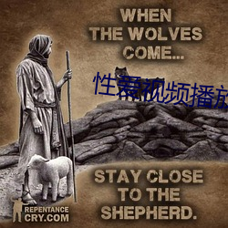 性爱(ài)视频播放器网(wǎng)址