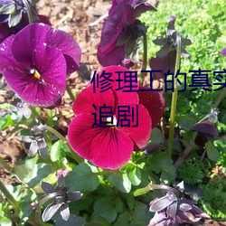 修理工的真实调教 全集免费VIP追剧