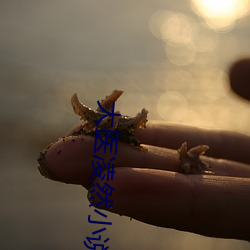 大医凌然小说