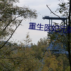 重(zhòng)生医妃元卿凌