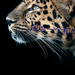 嫁给一个和尚 （请调）