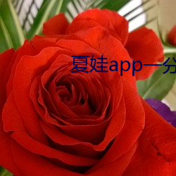 夏娃(wá)app一(yī)分三块(kuài)5.3