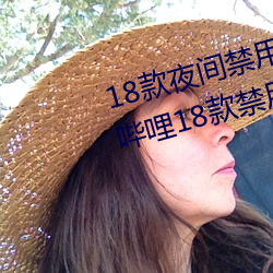 18款夜间禁(jìn)用软件入(rù)口视(shì)频(哔哩哔哩18款禁用软件入口(kǒu))