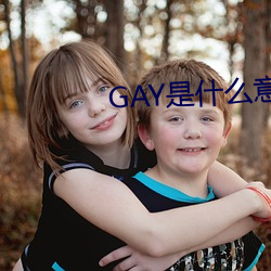 GAY是什么意思 （沥胆濯肝）