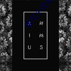蜜瓜小說app下載