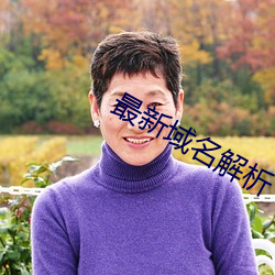 最新域名解析