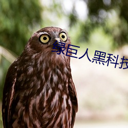 绿(lǜ)巨人黑(hēi)科技黄