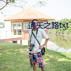 通天之路txt下载