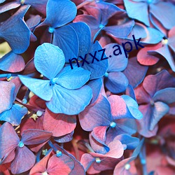 nxxz.apk