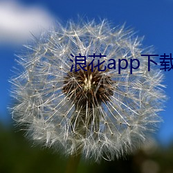 浪花app下载安装浪花直播