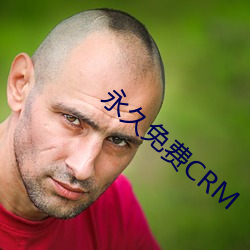 永久(久)免(免)费CRM