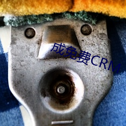 成免费CRM